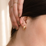 Petite Gold  |  Moon Studs