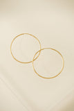 Lover's Tempo  |  Gold-Filled Infinity Hoop Earrings