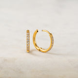 Lover's Tempo  |  Evie 15mm Hoop Earrings