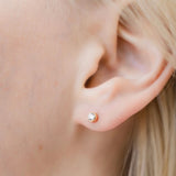 Petite Gold  |  Fin Studs