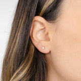 Petite Gold  |  Opal Studs