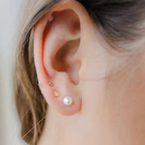 Petite Gold  |  Pearl Studs