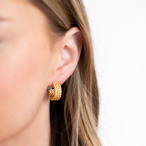 Petite Gold  |  Golden Gleam Earrings