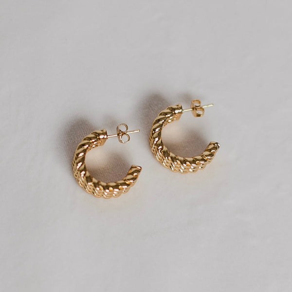 Petite Gold  |  Golden Gleam Earrings