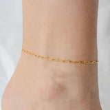 Petite Gold  |  Paperclip Anklet
